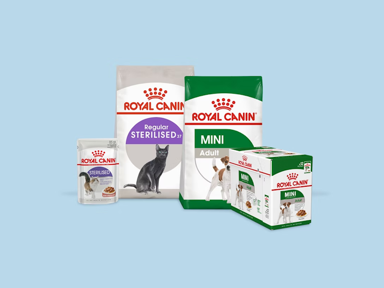 royal-canin-article-desktop_031