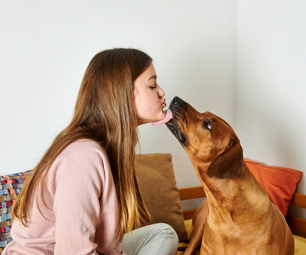 hur-la%cc%88nge-lo%cc%88per-en-hund_-artikel