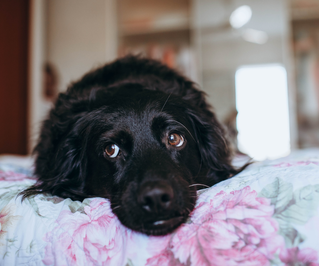 vem-drabbas-av-juvertumo%cc%88r